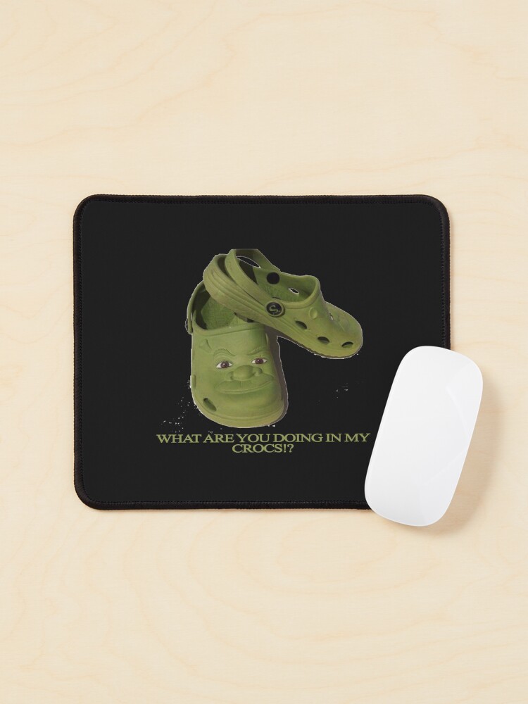 Children's Shrek Crocs Shrek Fan Gift - CrocsBox