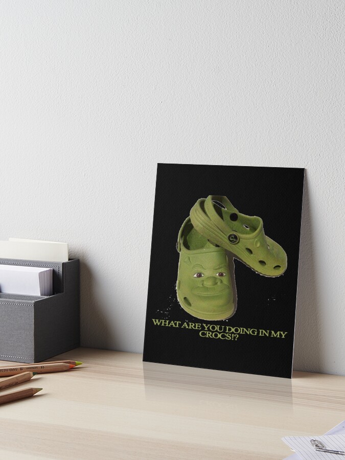 Shrek And Fiona Crocs Shrek And Donkey Crocs - CrocsBox