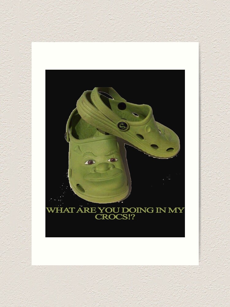 Custom Crocs Shrek Edition the Shrek Crocs Ogre Movie -  in