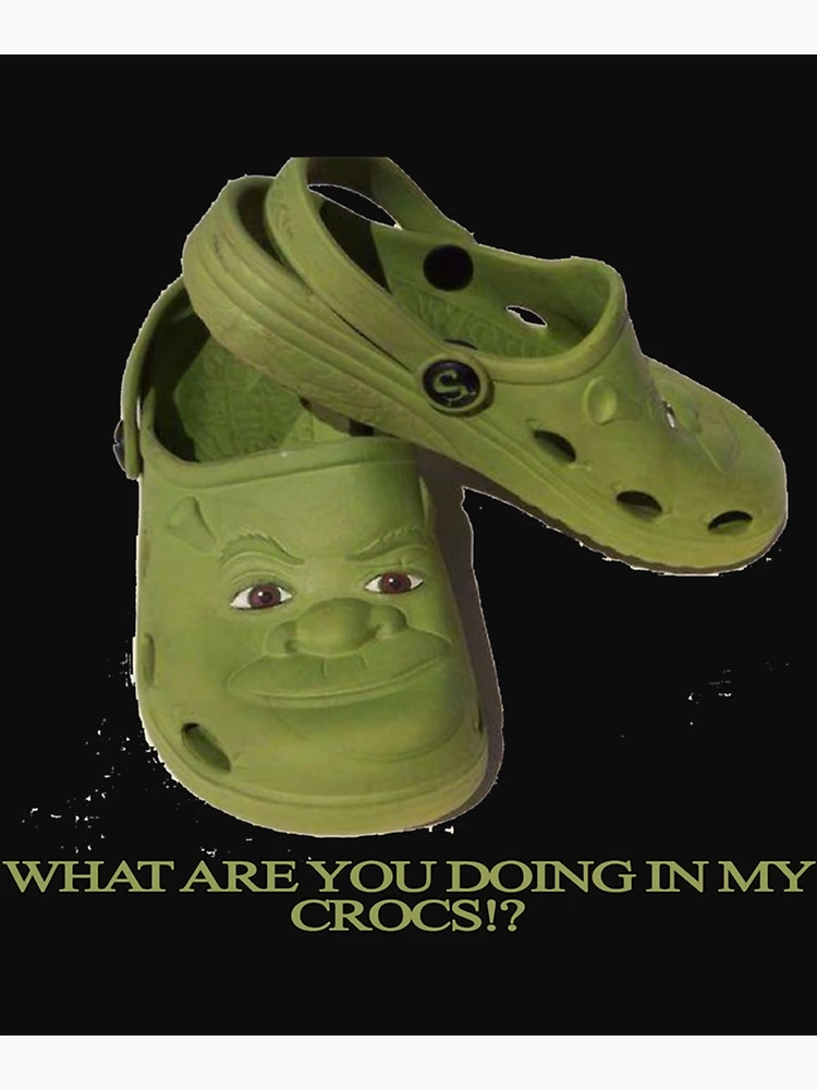 oh you thought id get shrek crocs and not immediately do a