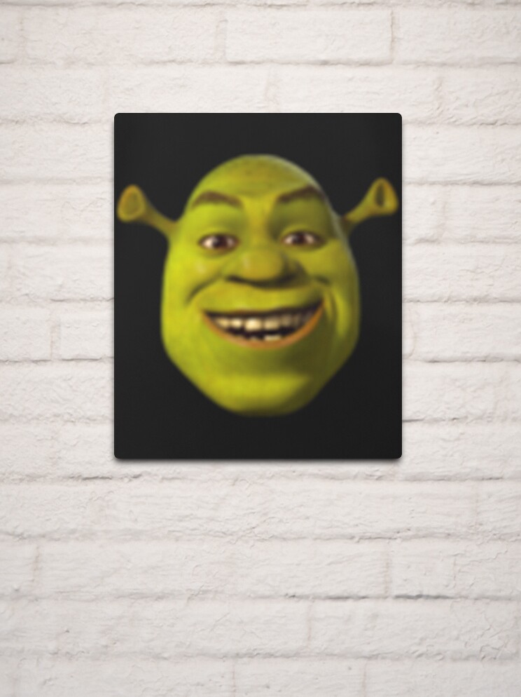 Shrek T-Pose  Photographic Print for Sale by KikimoraFasbn