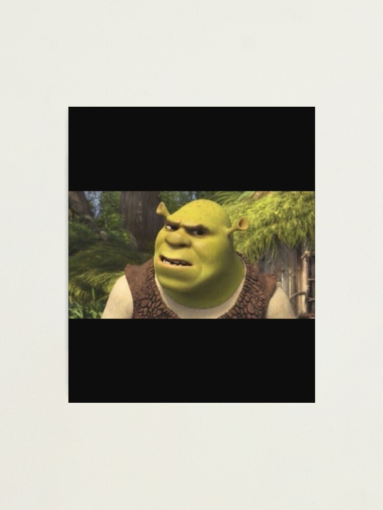 Shrek T-Pose  Photographic Print for Sale by KikimoraFasbn