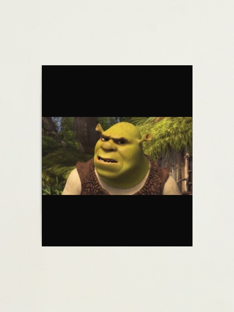 Shrek meme Photographic Print for Sale by Doflamingo99