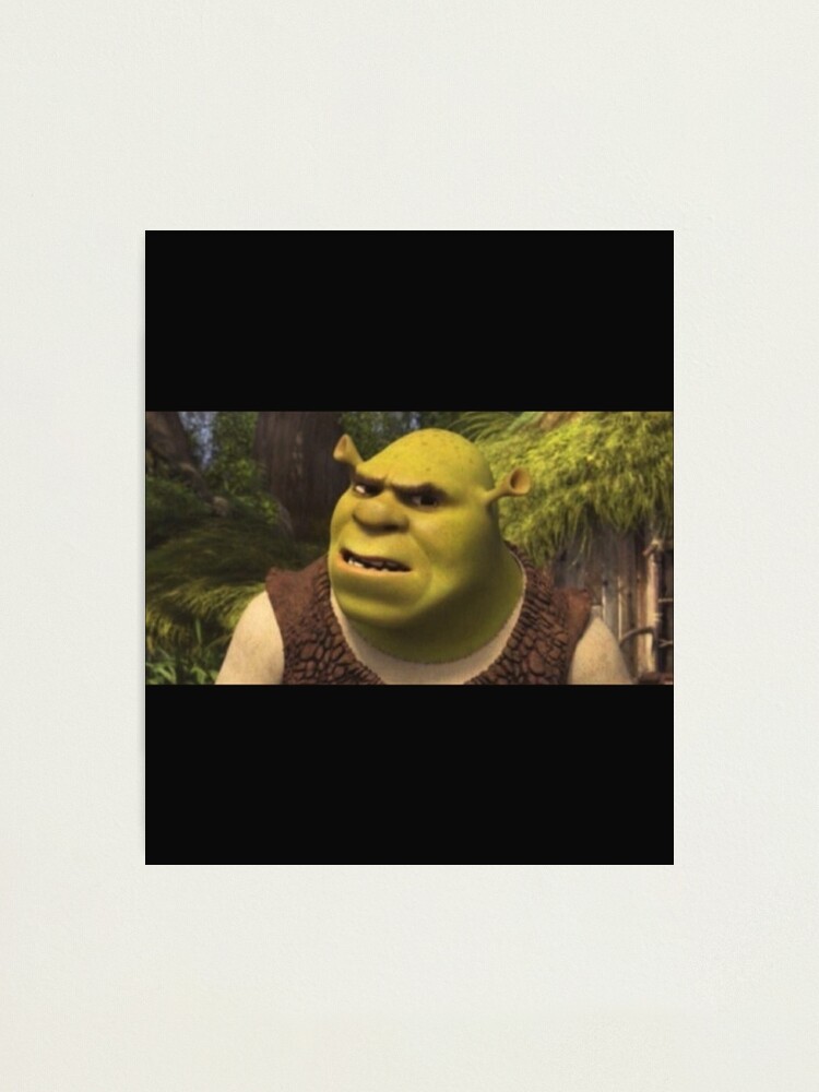 Shrek meme Photographic Print for Sale by Pulte