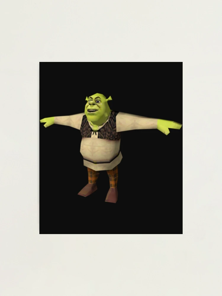 Shrek has ascended using the power of the #TPose #TPoseNation #TPoseArmy  (.✝️ Stolen from pba.mp4 on Instagram ✝️.), By T Pose