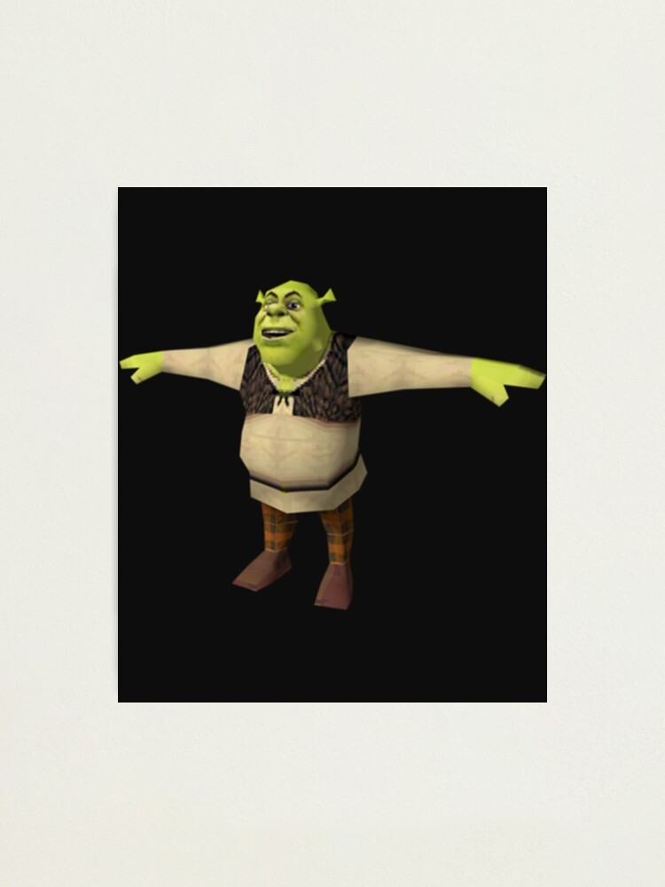 Shrek T-Pose  Photographic Print for Sale by KikimoraFasbn