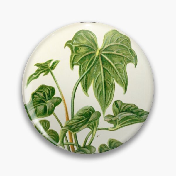 Item preview, Anthurium hybrids - Botanical Illustration designed and sold by chimakingthings.