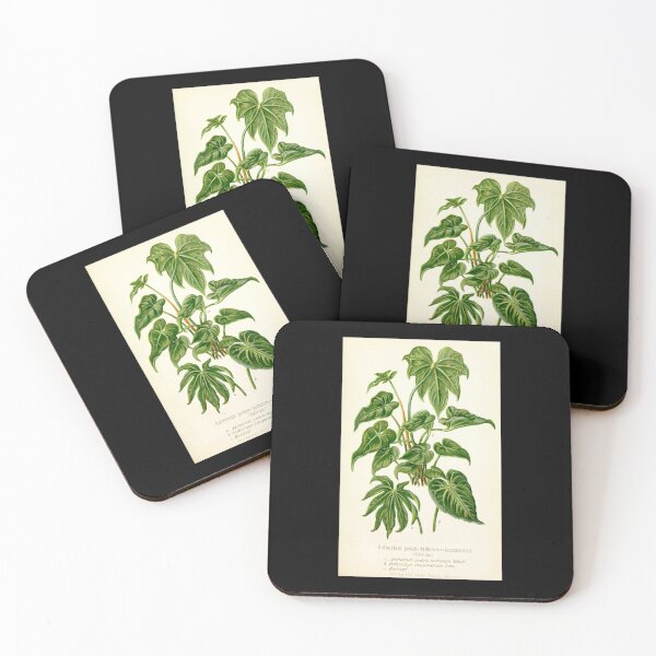 Item preview, Anthurium hybrids - Botanical Illustration designed and sold by chimakingthings.