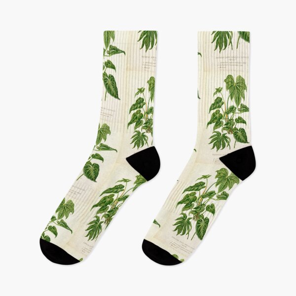 Item preview, Anthurium hybrids - Botanical Illustration designed and sold by chimakingthings.