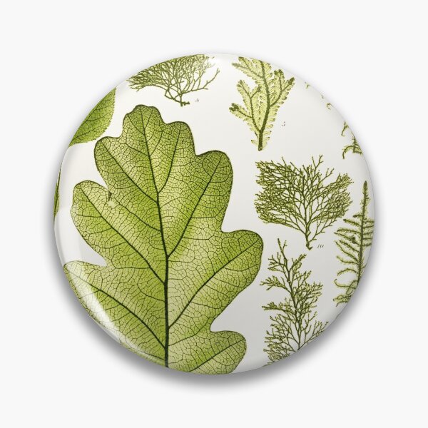 Item preview, Assorted leaves and mosses - Botanical Illustration designed and sold by chimakingthings.