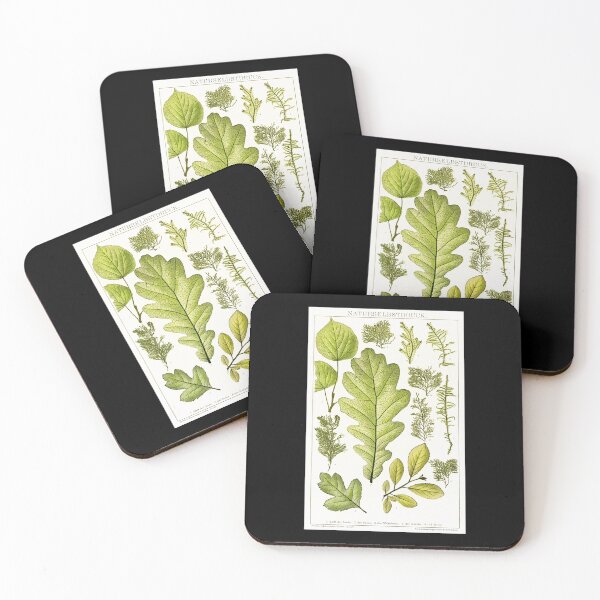 Item preview, Assorted leaves and mosses - Botanical Illustration designed and sold by chimakingthings.