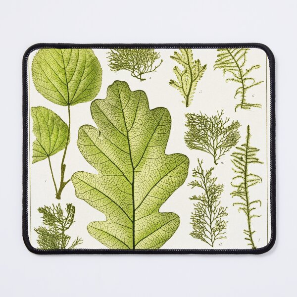 Item preview, Assorted leaves and mosses - Botanical Illustration designed and sold by chimakingthings.