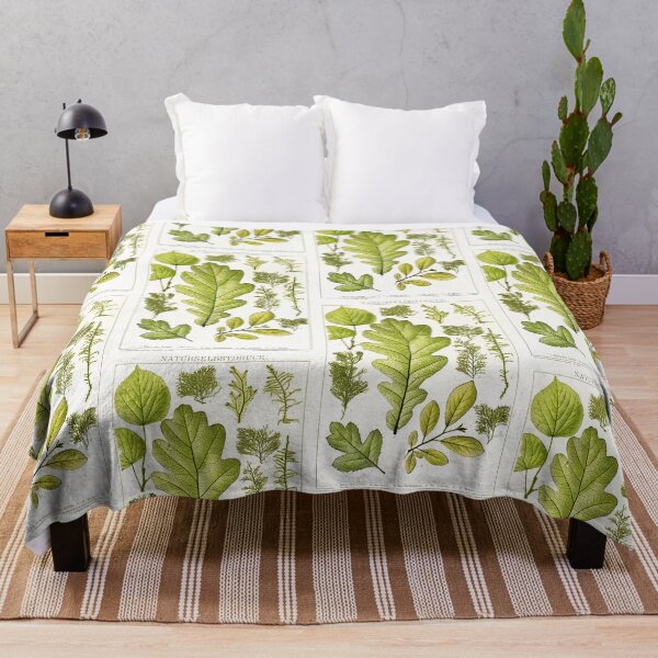 Item preview, Assorted leaves and mosses - Botanical Illustration designed and sold by chimakingthings.