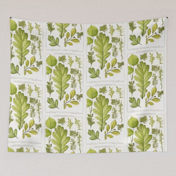 Item preview, Assorted leaves and mosses - Botanical Illustration designed and sold by chimakingthings.
