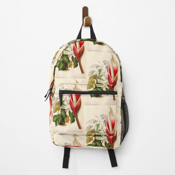 Item preview, Philodendron verrucosum flower - Botanical Illustration designed and sold by chimakingthings.