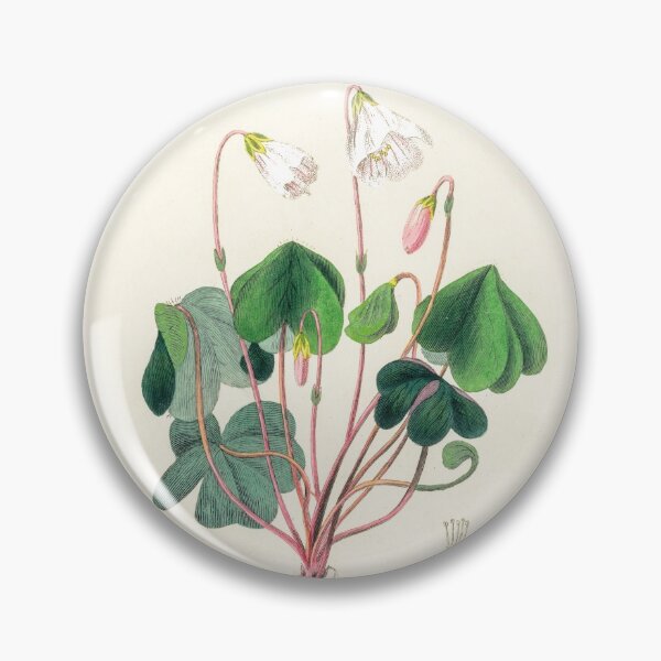 Item preview, Common Wood-sorrel - Botanical Illustration designed and sold by chimakingthings.