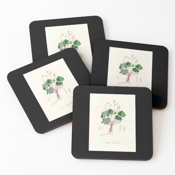 Item preview, Common Wood-sorrel - Botanical Illustration designed and sold by chimakingthings.