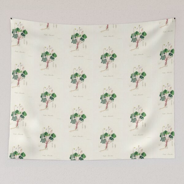 Item preview, Common Wood-sorrel - Botanical Illustration designed and sold by chimakingthings.