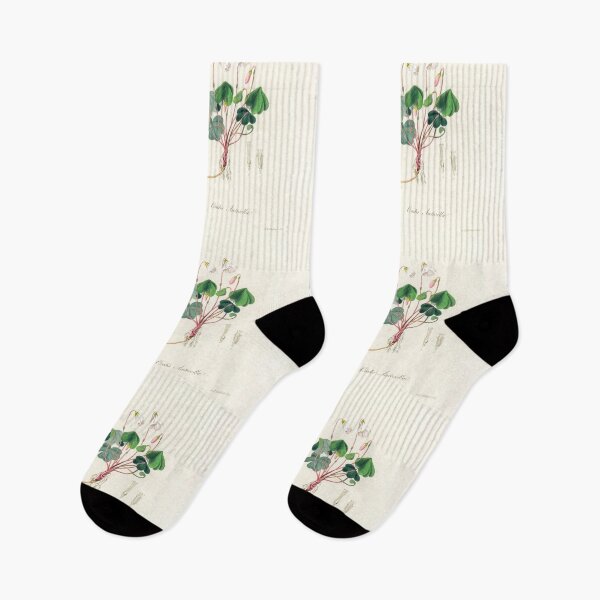 Item preview, Common Wood-sorrel - Botanical Illustration designed and sold by chimakingthings.