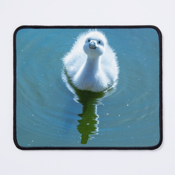 Item preview, I am cute look at me  designed and sold by Dalyndigital Photography.