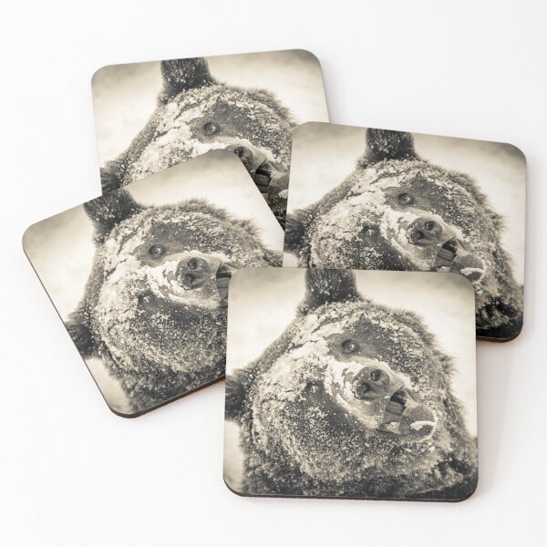 Item preview, The brown bear in the snow designed and sold by Ingo Gerlach.