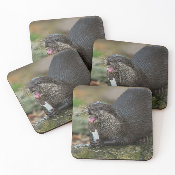 Item preview, Otter Has Got His Fish designed and sold by rawshutterbug.