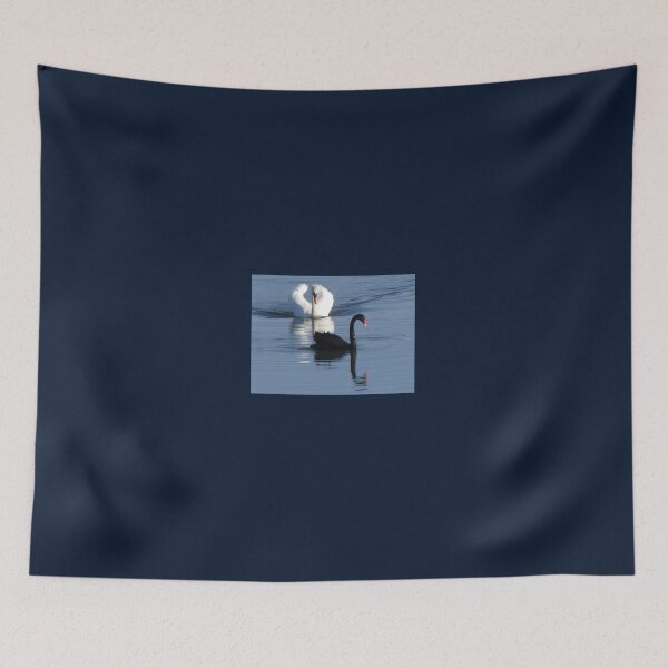 Item preview, Swans, white, black designed and sold by rachariedel.