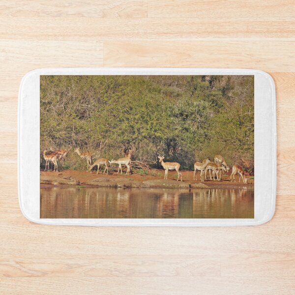Item preview, Impala and a roadblock designed and sold by Maniki SA.