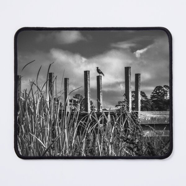 Item preview, Learmonth designed and sold by Christine Wilson.