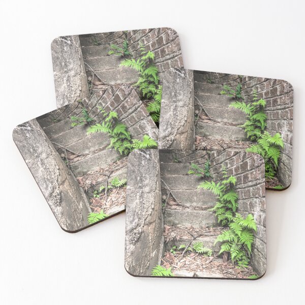 Item preview, ladder and fern. designed and sold by Nino rocha fotografia.