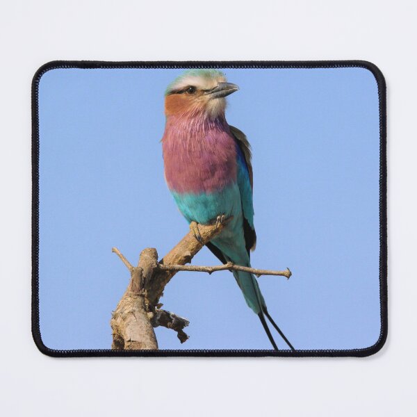 Item preview, Lilac breasted roller, Kenya's national bird designed and sold by Maniki SA.
