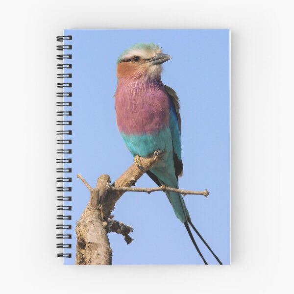 Item preview, Lilac breasted roller, Kenya's national bird designed and sold by Maniki SA.