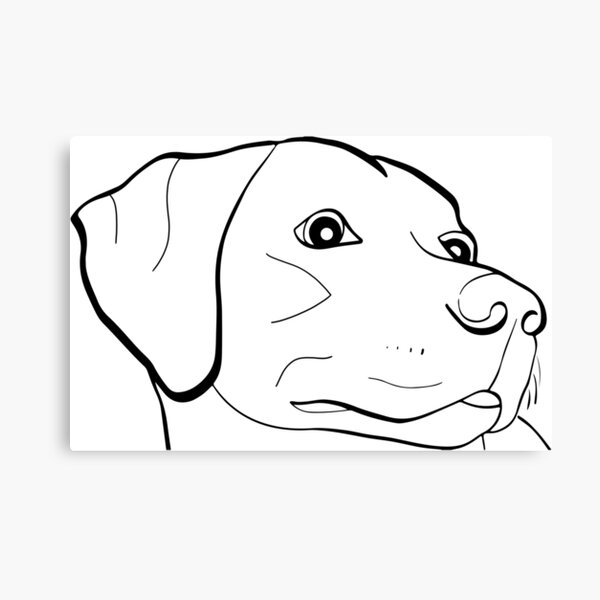 Artikel-Vorschau von Labrador, designt und verkauft von officialgtrch.
