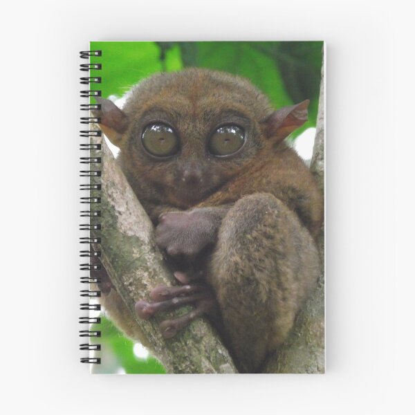 Item preview, Tarsier, Bohol Philippines designed and sold by OM-Merchandise.