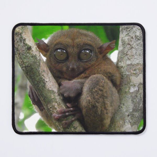 Item preview, Tarsier, Bohol Philippines designed and sold by OM-Merchandise.
