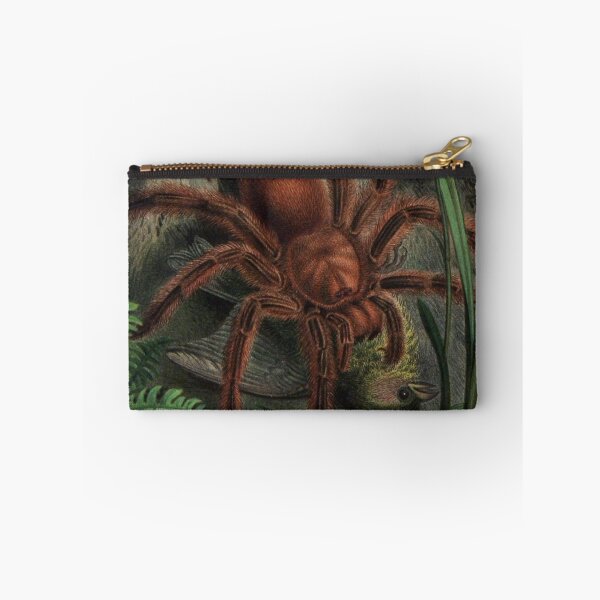 Item preview, Vintage Tarantula Artwork | Large Spider Eating Bird | Tarantula Painting | Goliath Birdeater  designed and sold by WadeLestat.