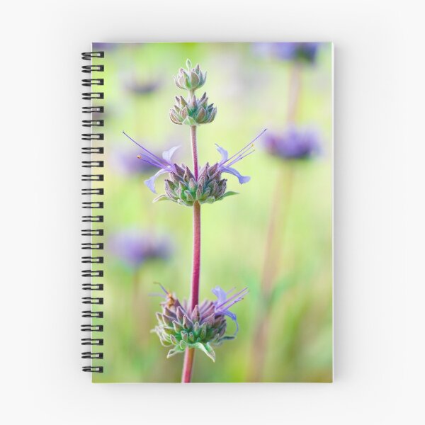 Item preview, Spring Sage II designed and sold by Colleen Farrell.