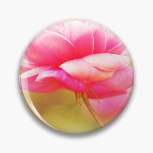 Item preview, Pretty Pink Rose - Rosa 'Duet' designed and sold by imaginethis.