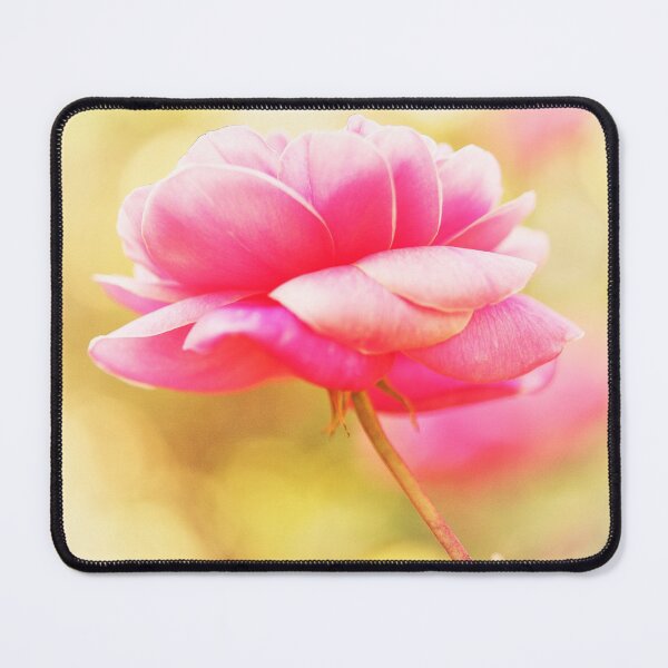 Item preview, Pretty Pink Rose - Rosa 'Duet' designed and sold by imaginethis.