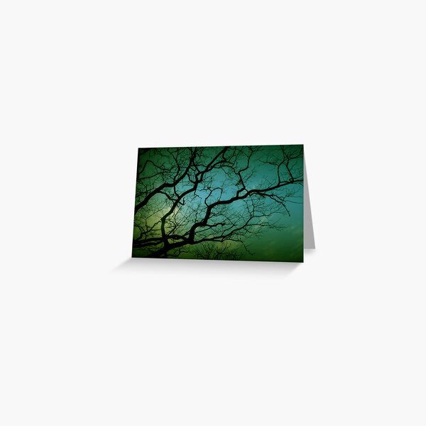 Sympathy Lake Trees Moon Mist Birds Branches RELIGIOUS Greeting Card NEW 
