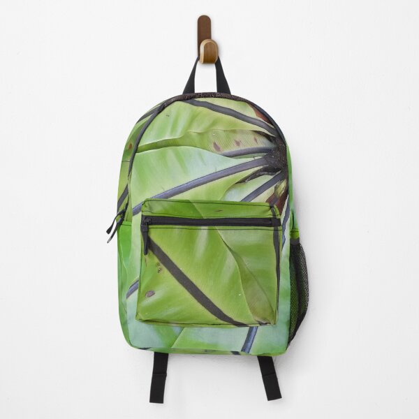Item preview, Green eco of real Bird's nest fern tropical zone. designed and sold by Pattanapong Pongampai.