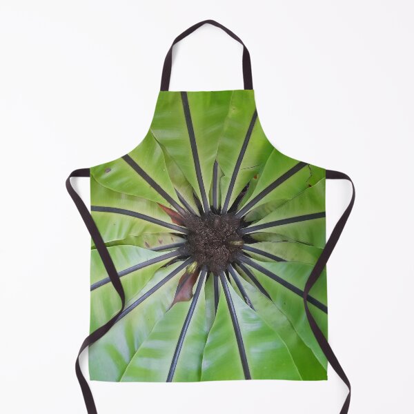 Item preview, Green eco of real Bird's nest fern tropical zone. designed and sold by Pattanapong Pongampai.