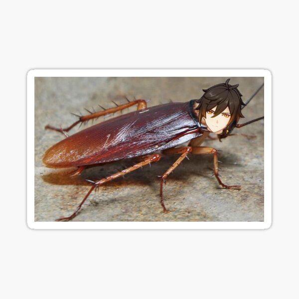 "Cockroach grampa zhongli" Sticker for Sale by chonked Redbubble