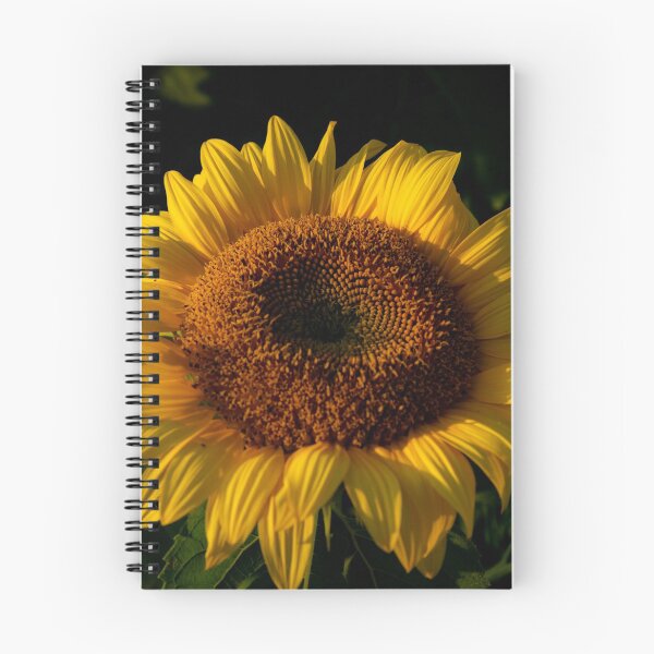 Item preview, Sunflower designed and sold by GailDouglas.
