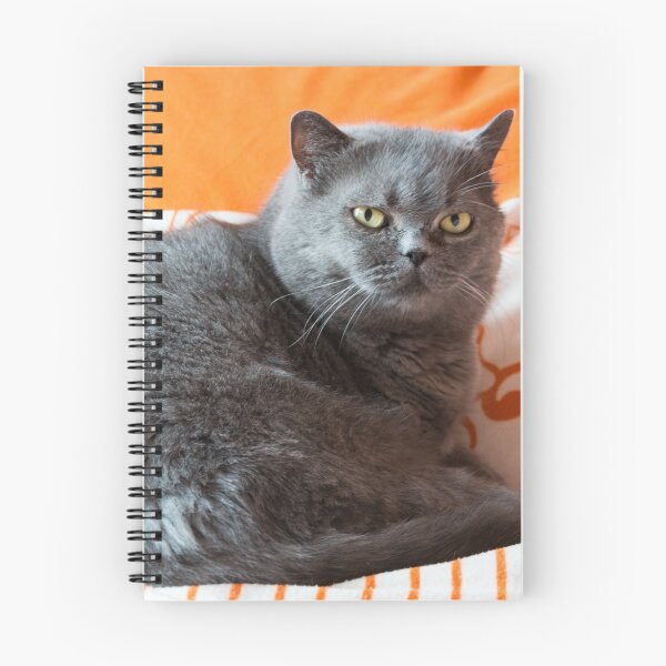 Item preview, Lazy Cat designed and sold by Ondrej Syblik.