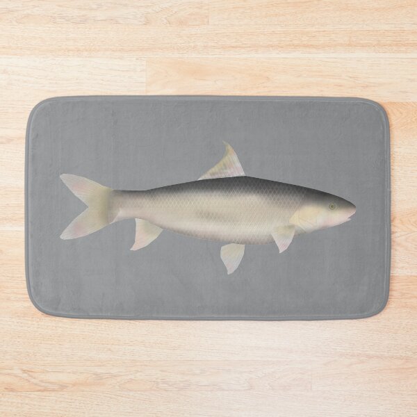 Item preview, Small Scale Mud Carp designed and sold by fishfolkart.