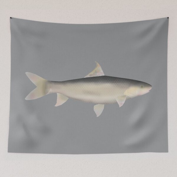 Item preview, Small Scale Mud Carp designed and sold by fishfolkart.