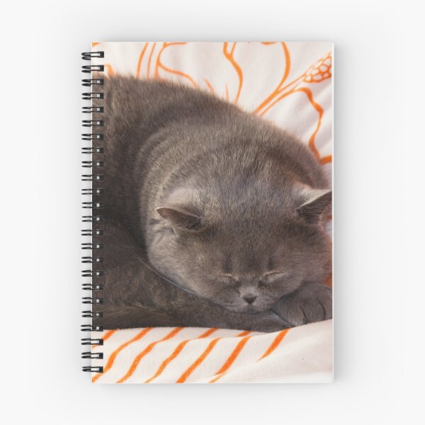 Item preview, Sleeping Cat designed and sold by Ondrej Syblik.