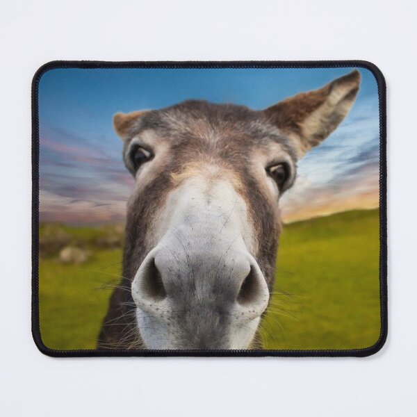 Item preview, Donkey designed and sold by BK-Fishing.
