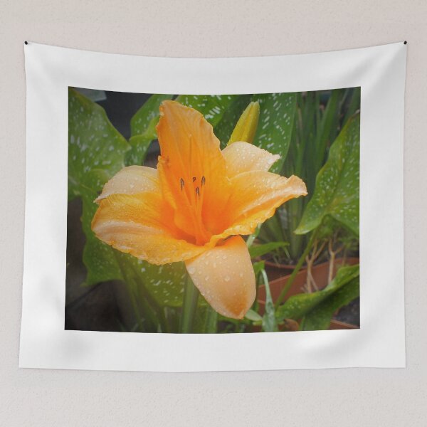 Item preview, My potted daylilly designed and sold by sandysartstudio.